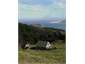 House and Hokianga Harbour entrance