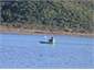 Kayaking on the estuary