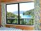 View from dining table