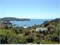View from Kakapo Cottage