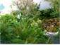 Garden path
