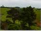 Gardens, pasture and the pacific..terrific views