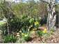 Spring arrives at Lake Rotoiti 