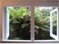 View from Bathroom Kakapo Cottage