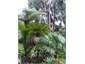 Garden picture near spa pool