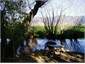 Down the creek