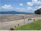 Mairangi Bay - Spring Day
