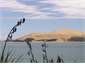 Hokianga sand dunes