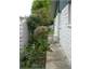 Vegetable garden