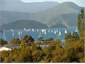 Yacht Racing