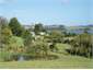Views from paddocks