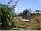 Back up the garden path...