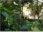 Subtropical Restaurant