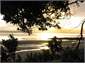 Sunrise at Mairangi Bay