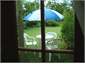 French doors leading to alfresco dining