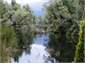 Ellery Creek