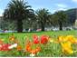 Picton foreshore