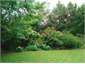 Garden area