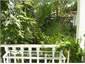 Garden off the veranda