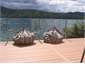 The Deck