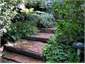 The garden steps