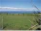 "View"