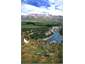 Rakaia walkway