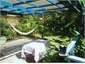 Terrace off Puriri room