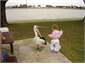 how close can you get having a picnic at the beach