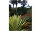 Wharepuke Garden