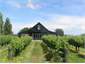 Vineyard Shed Accomodation