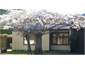 Cherry Tree Cottage