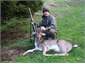 Deerhunting