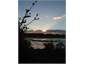 View from verandah