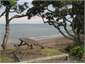 Little Manly Beach