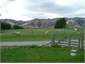 view from the back door