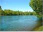 the clutha river just across road
