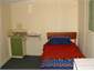 Sleepout with single bed and bunks