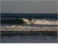 surfing Medlands