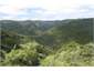 The amazing Piha Valley