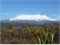 Mt Ruapehu - Great skiing!