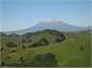 Taranaki's mountain from the farm