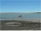 Setting flounder net in Rangitikei river