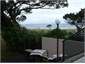 View from Deck