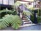 Kauri Suite Entrance