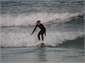 surfing Medlands