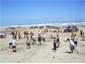 Fun days on the beach