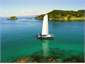 Local Sailing activities