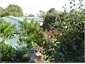 from the sitting room