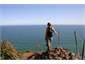 Tasman View